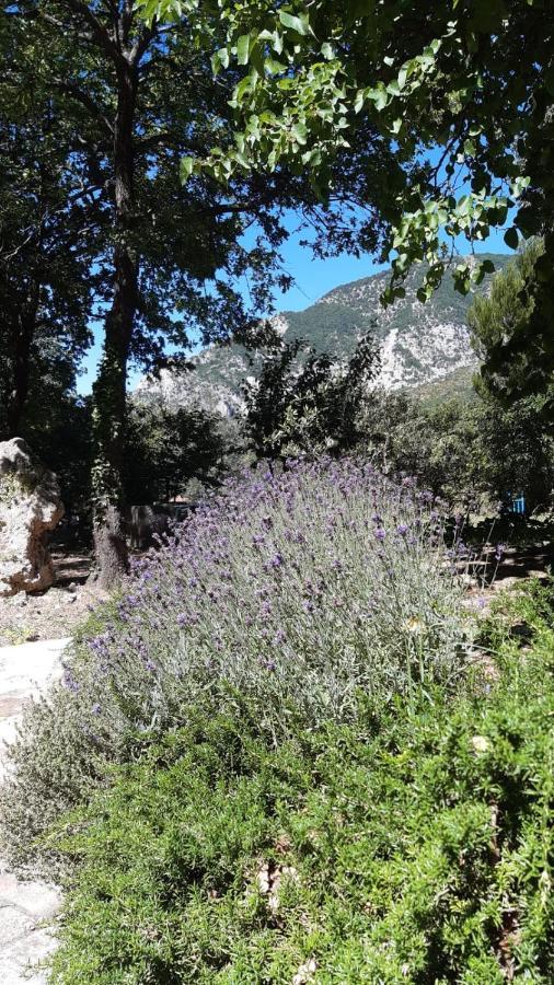 Azienda Agrituristica La Torretta Tocco da Casauria Экстерьер фото