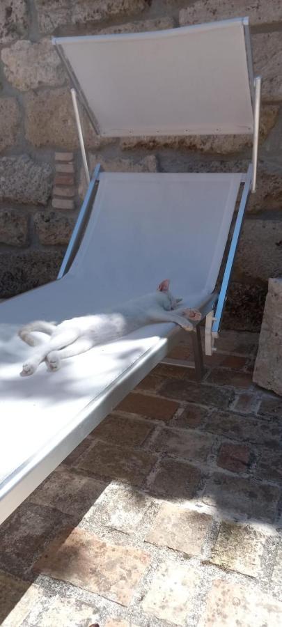 Azienda Agrituristica La Torretta Tocco da Casauria Экстерьер фото