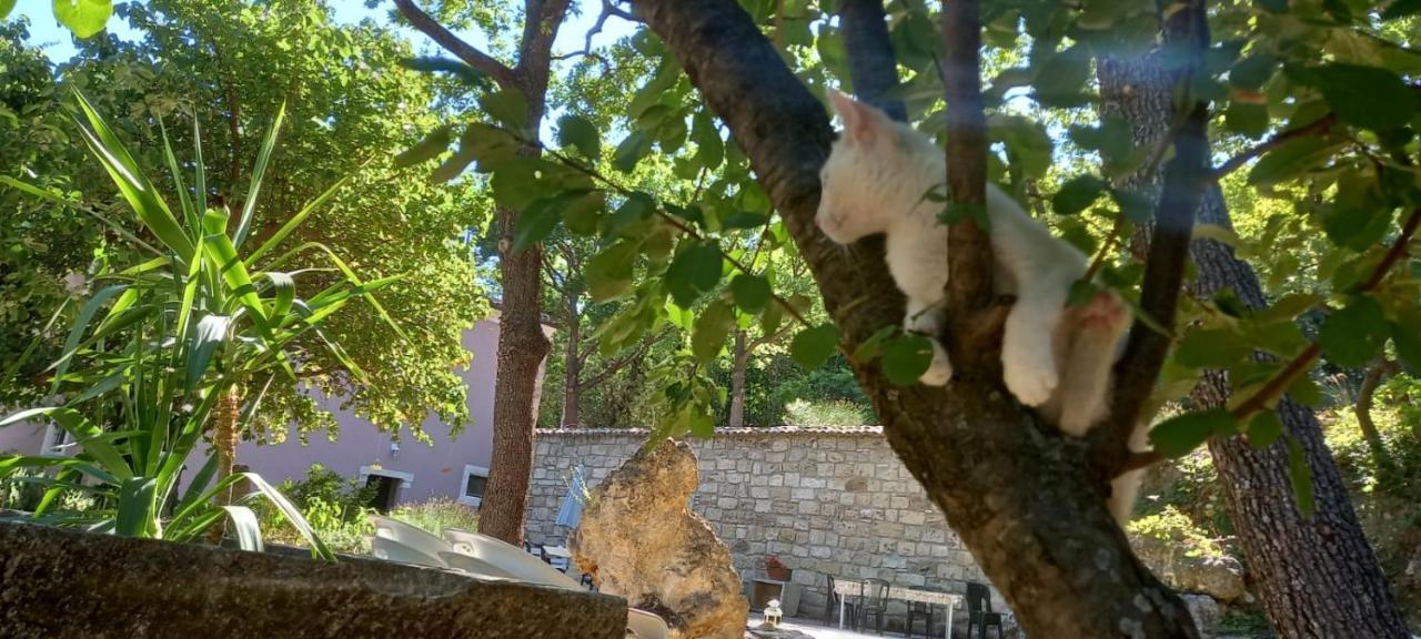 Azienda Agrituristica La Torretta Tocco da Casauria Экстерьер фото