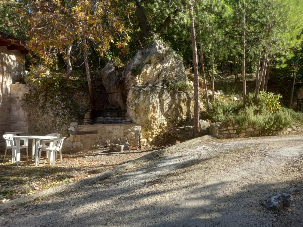 Azienda Agrituristica La Torretta Tocco da Casauria Экстерьер фото