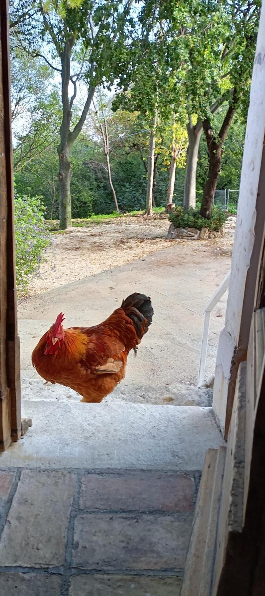 Azienda Agrituristica La Torretta Tocco da Casauria Экстерьер фото